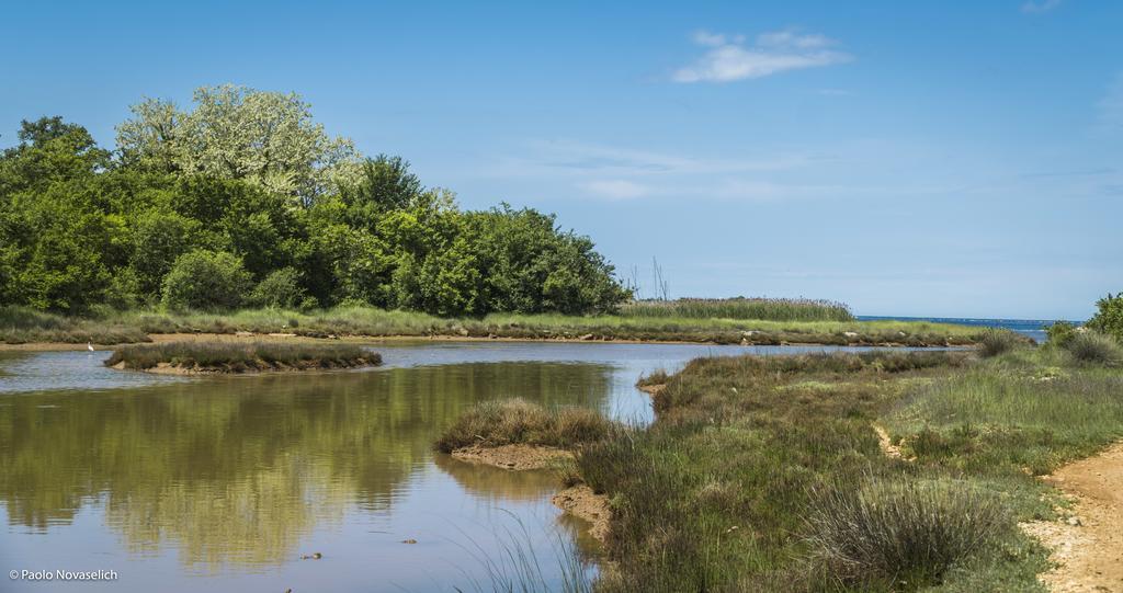 Holiday Home Sofia Πόρετς Εξωτερικό φωτογραφία